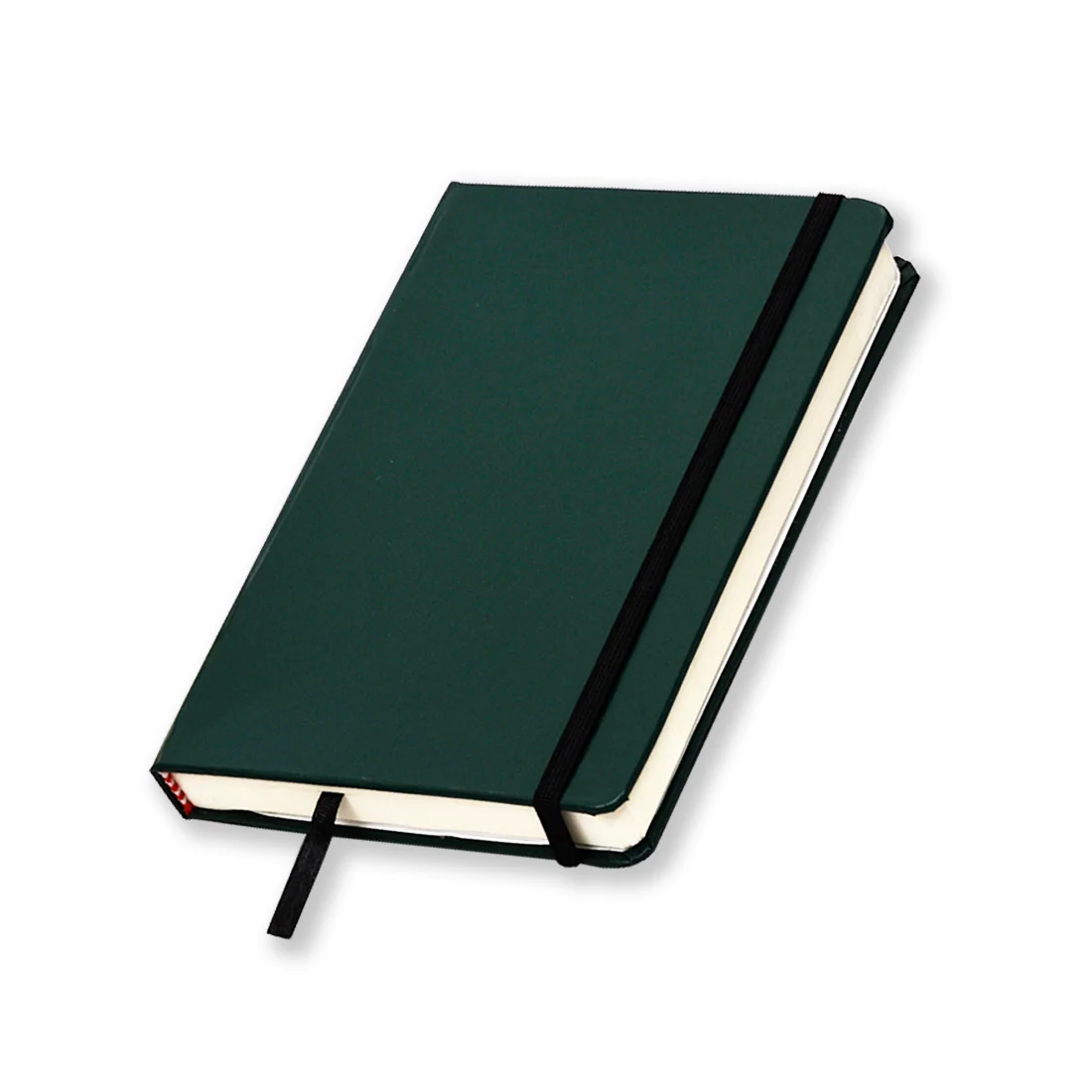 Diaries & Notebooks